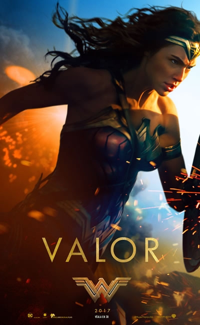 MUJER MARAVILLA 2017 visual data 5