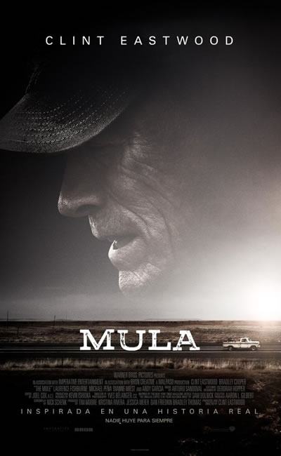 Cine en pantalla grande - Página 16 Lamula_poster