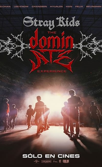 Stray Kids: The dominATE Experience
